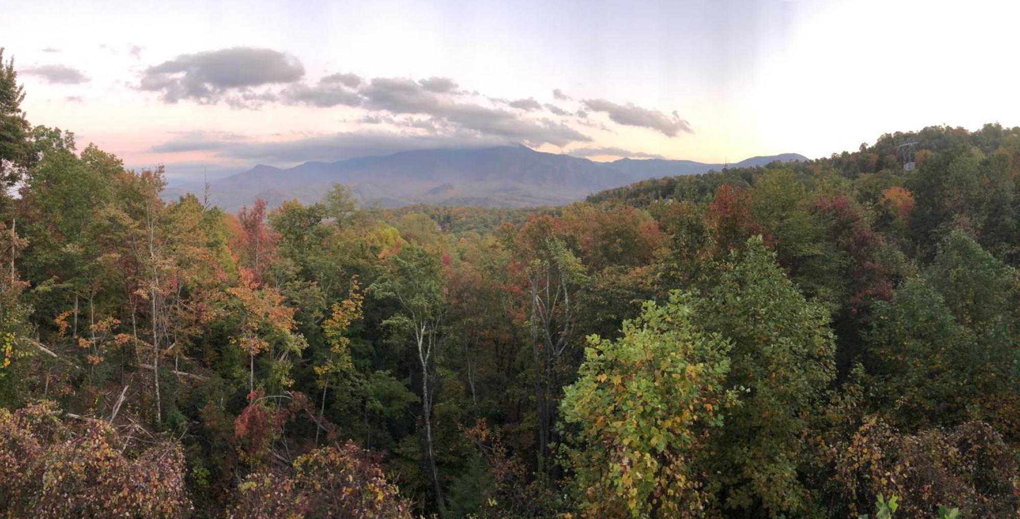 Heavenly View - Bear Themed Cabin, Hottub, Dog-Friendly, Near Гатлинбург Экстерьер фото